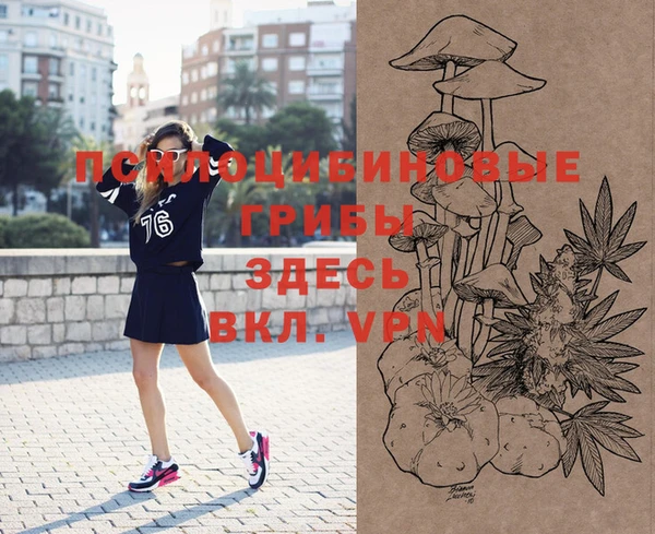 крисы Аркадак