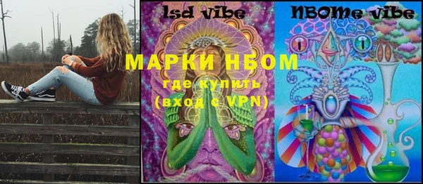 крисы Аркадак